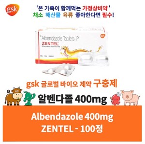 젠탈 ZENTEL 알벤다졸 400mg 100정 x 1박스 GSK
