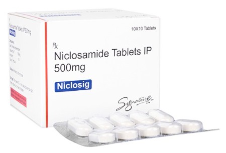 niclobest500 니클로사마이드 500mg 100정 x 1박스  / niclosig 500 mg 100정
