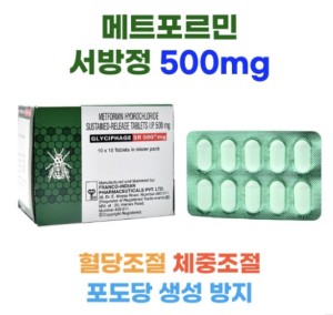 메트포르민 서방정 Glyciphage SR 500mg 100정 2박스