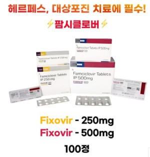 팜시클로버(famciclovir) Fixovir-250mg , Fixovir-500mg 100정 대용량