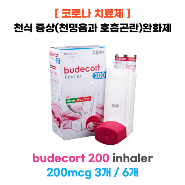 Budecort 200 Inhaler  3개 / 6개